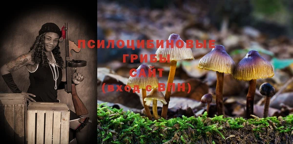 герыч Алзамай