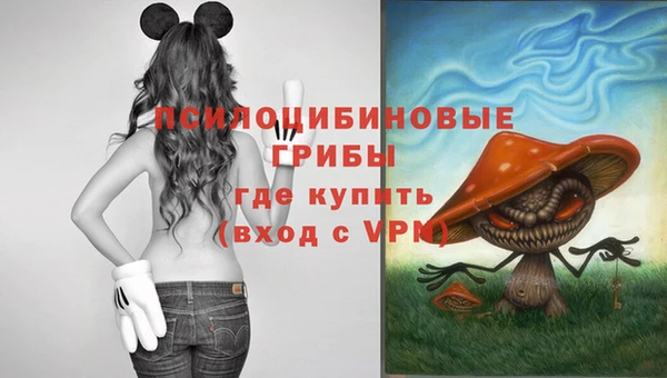 mix Алексин