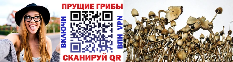 Псилоцибиновые грибы мухоморы  Тюкалинск 